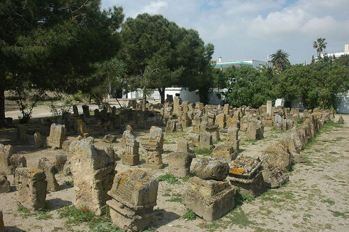 Le patrimoine mondial de l'Unesco : Carthage - Tunisie