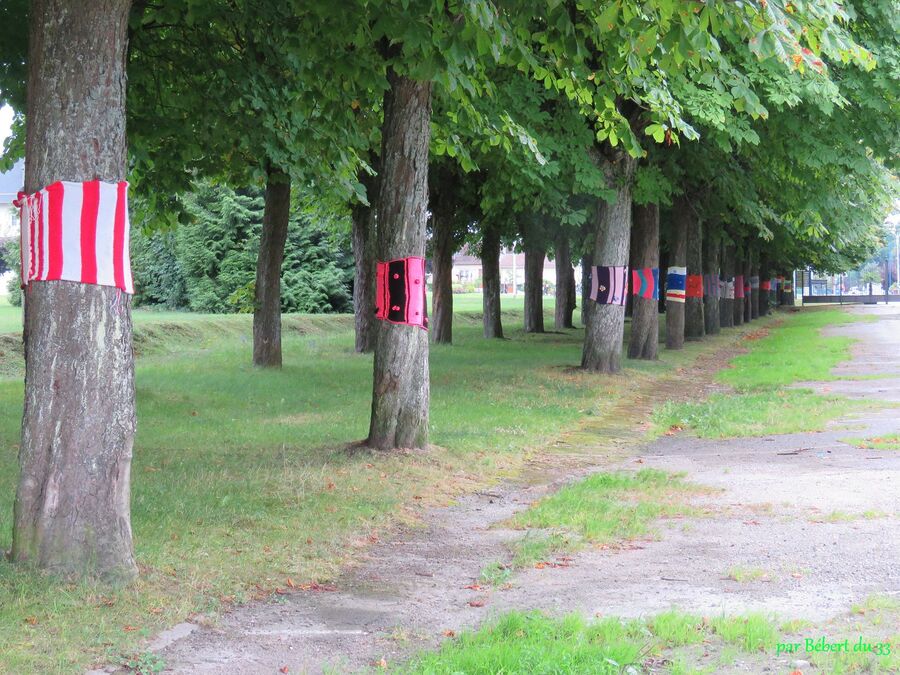 Thaon dans les Vosges 