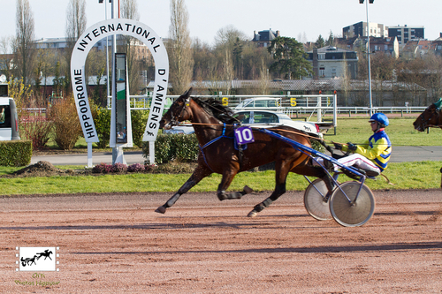 PRIX TB TRAITEUR