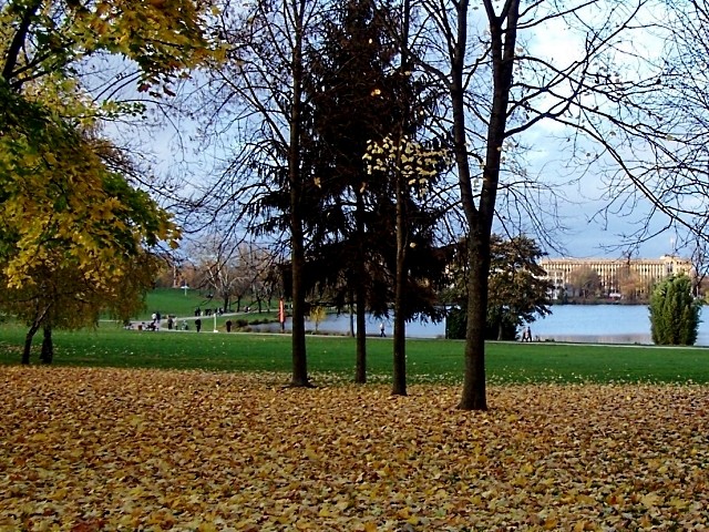 Metz en automne 7 Marc de Metz 2011