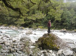 2: Milford Sound