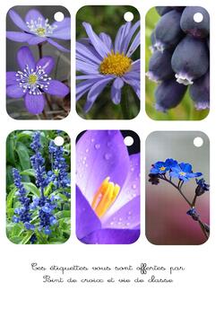 Cartonnettes fleurs bleues