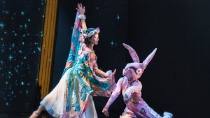 dance ballet rabbit the velveteen theater 