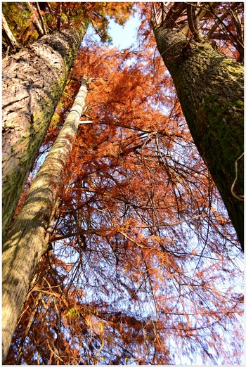 2013.12.02 parc d'Uriage les Bains (Région Rhône-Alpes, Isère)