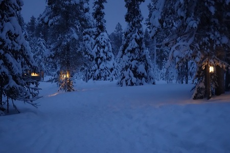 Voyage en Laponie au pays du Père Noël #2