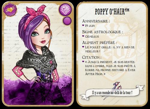 Personnages Ever After High Univers