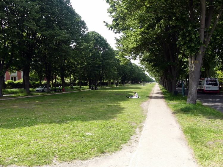 Avenue Albine