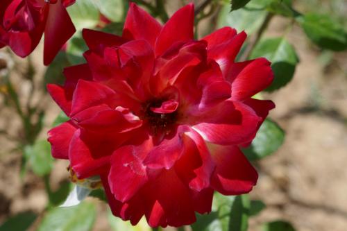 Le cartoscope du jeudi 3 octobre 2024