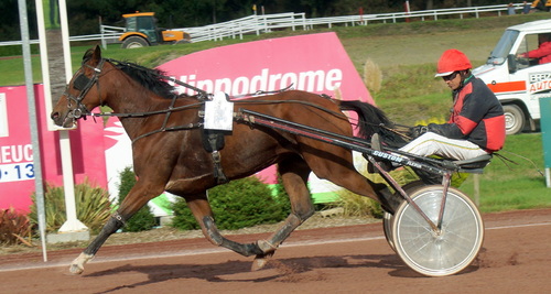 Hippodrome de la Baie Yffiniac - Réunion du 05 octobre 2013