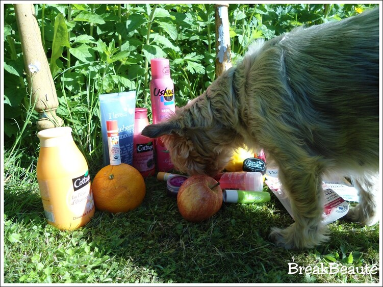 ღ Défi du lundi | Fruits en folie!