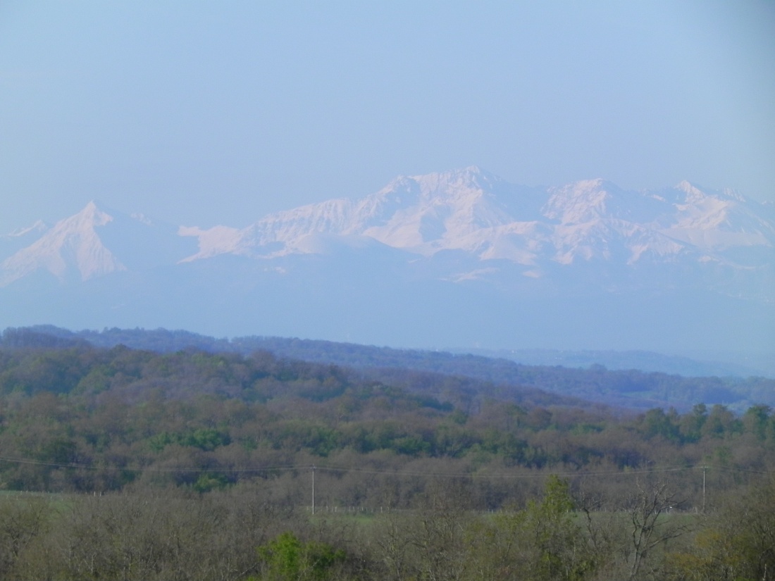 Les Pyrénnées vu depuis Mirande