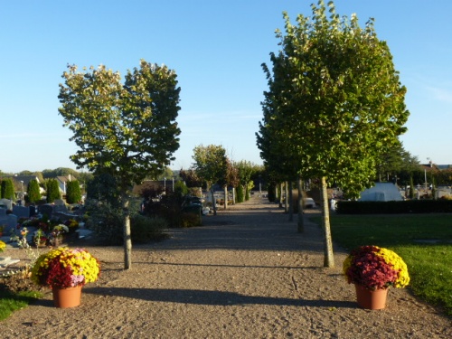 COULEURS D'AUTOMNE A BEAUGENCY