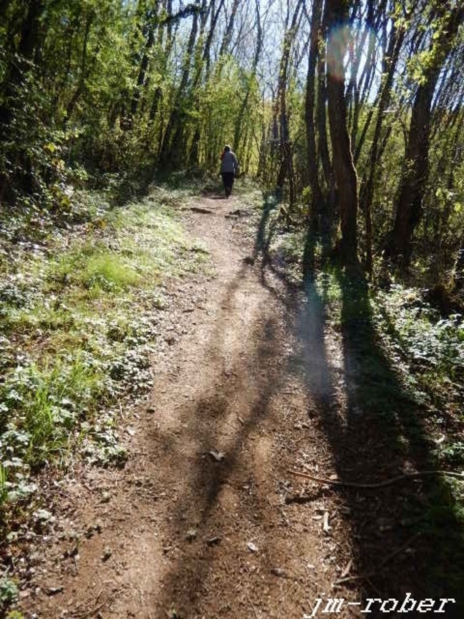 Uzerche :  une marche sur les rives de la Vézère dans les pas de Simone de Beauvoir (2)