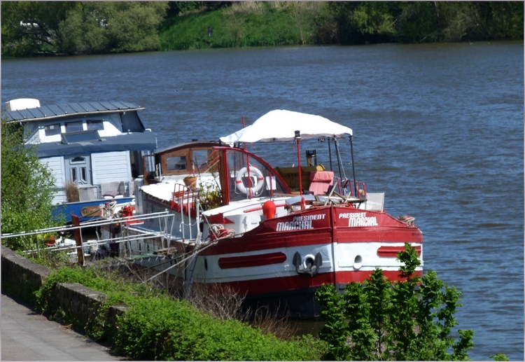 La vie sur l'eau 