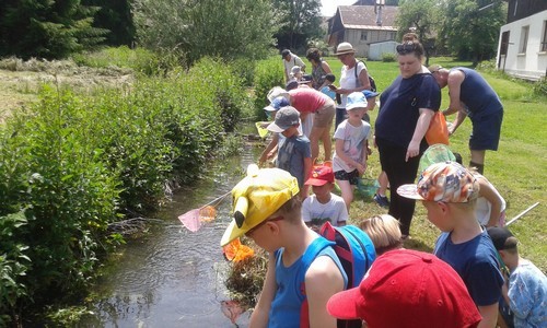 Sortie pêche