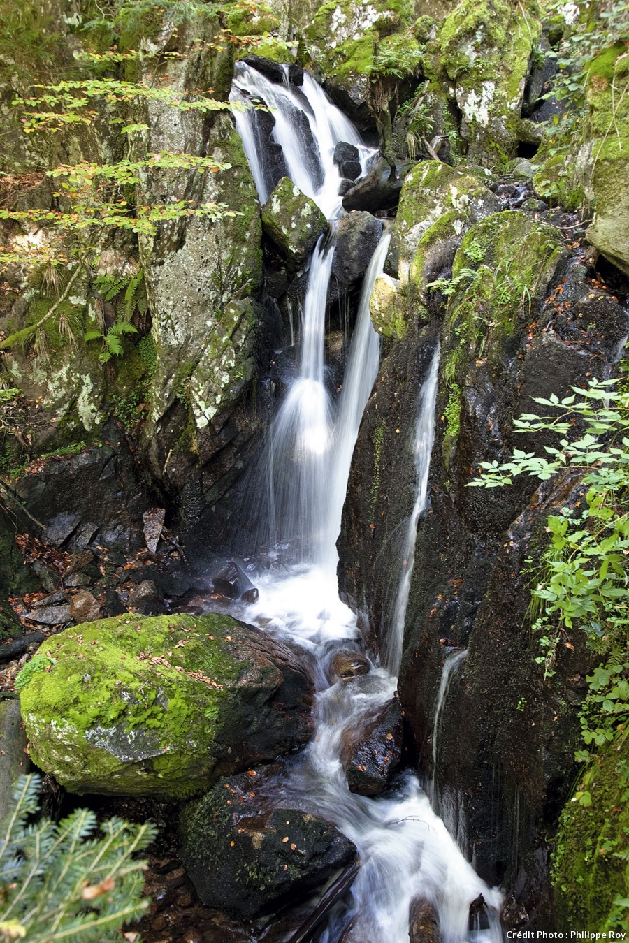 Cascade du Saut de la Truite