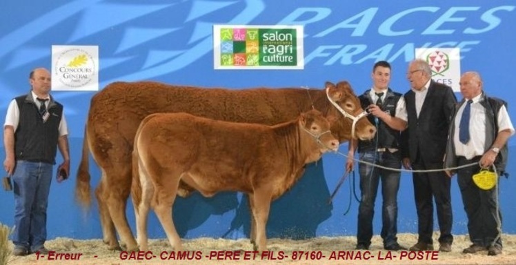 Salon de l'Agriculture 2015. La Journée Limousine, un rendez-vous de limousin