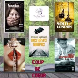 Mes recommandations (coups de coeur 2016)