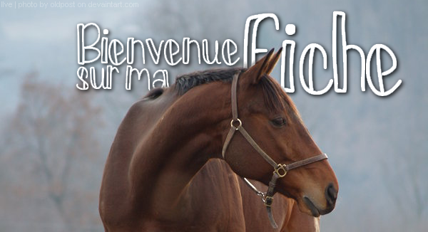 Kit 2 | bannières fiche equideow | cheval baie - fiche equideow