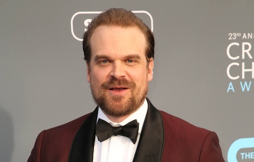 David Harbour ira voir les manchots avec Greenpeace