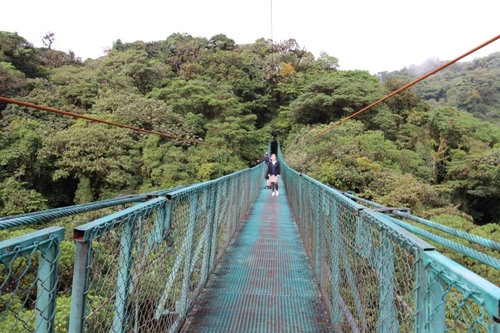Au-dessus de la canopée sur les ponts suspendus de Monteverde