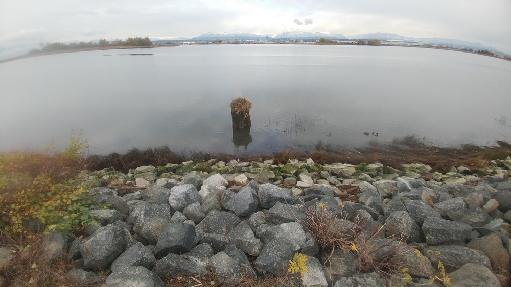 November Break in Vancouver: Third Day: Beaches and Shores