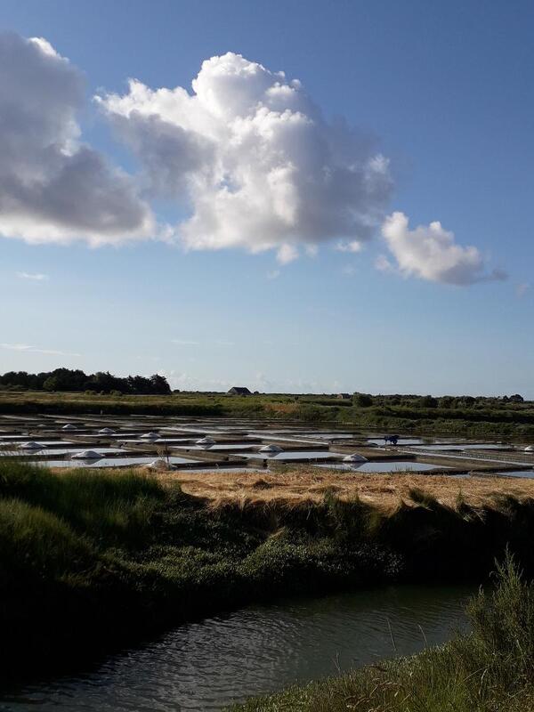 Les nuages annoncent la tempete ?