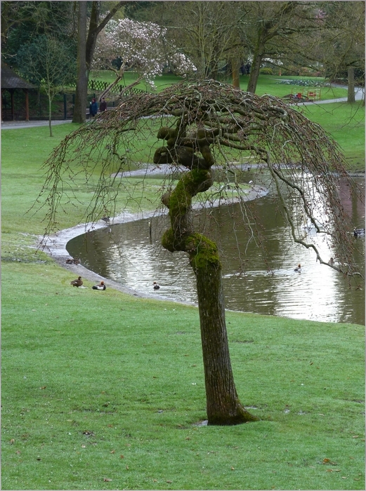 quelques instants au parc 