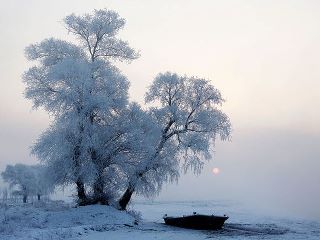 images, couleurs d'hiver, neige,hiver,blanc