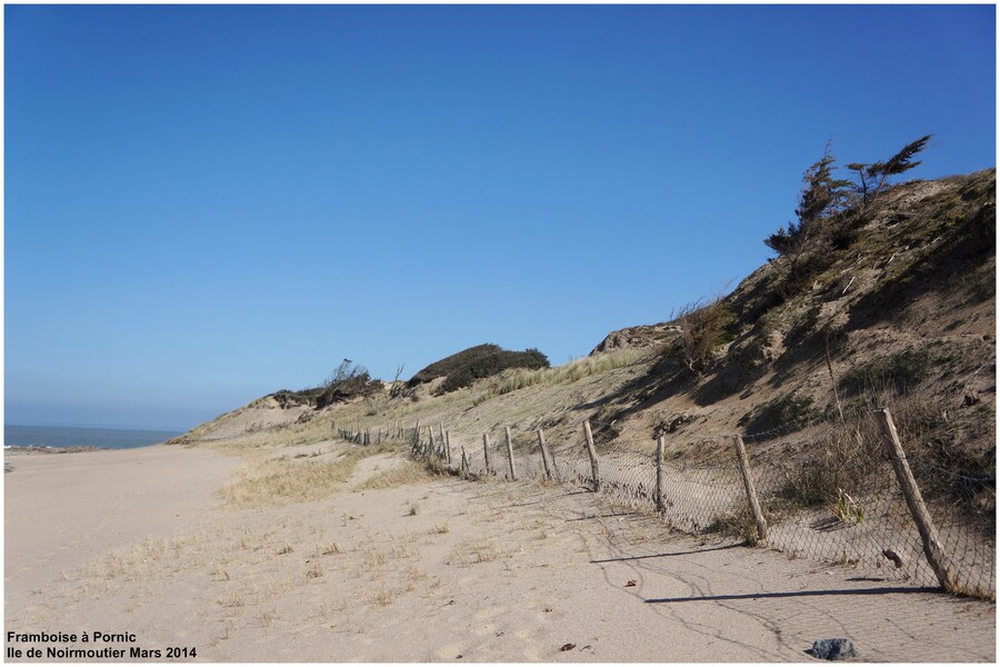 Balade à Noirmoutier 