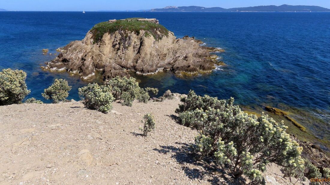 la presqu'île de Giens - 10