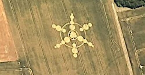 Crop circles 2019.