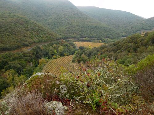 * ANSIGNAN entre vignobles et dolmens