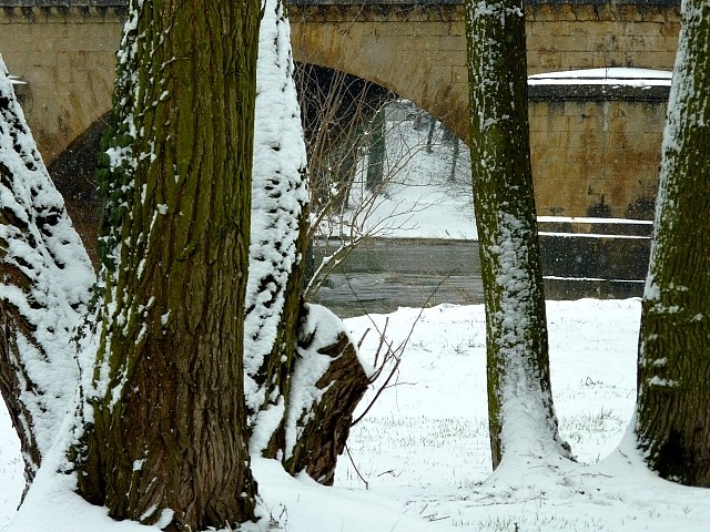 Neige sur Metz 21 Marc de Metz 12 02 2013