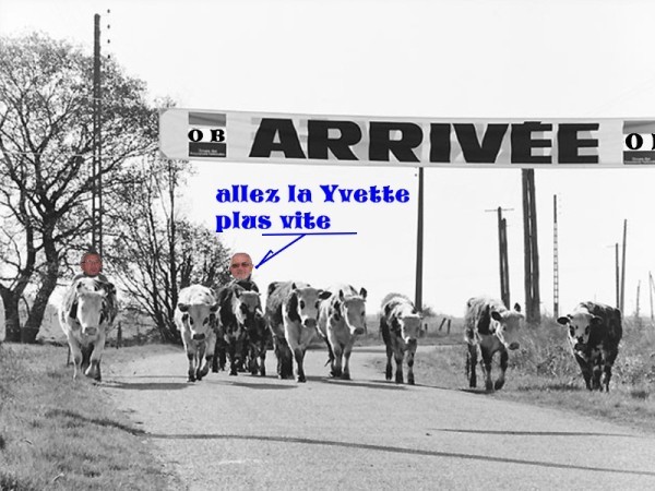 arrivee.jpg