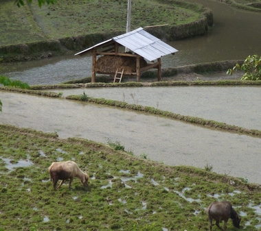 Pan Hou Village
