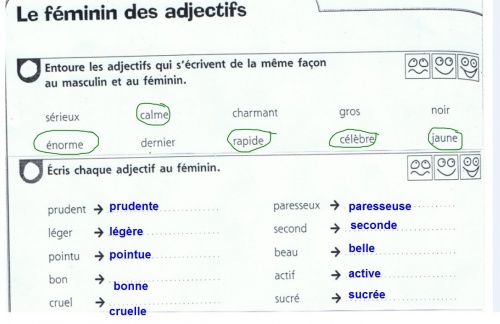Orthographe - Grammaire: le féminin des adjectifs