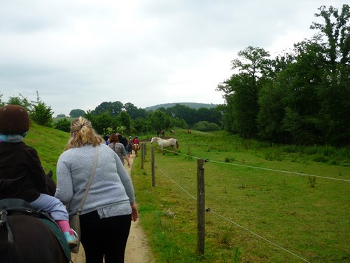 Promenade à poney