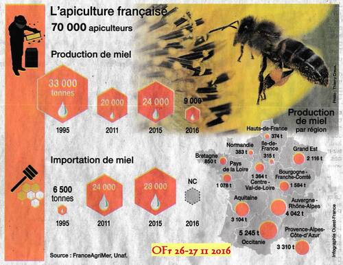 Le miel : c'est bon . . .