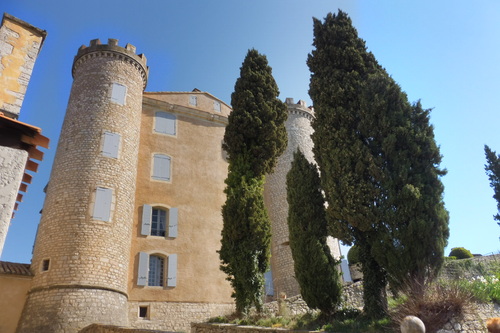 Le  château de St Martin de Pallières ( Haut Var) 