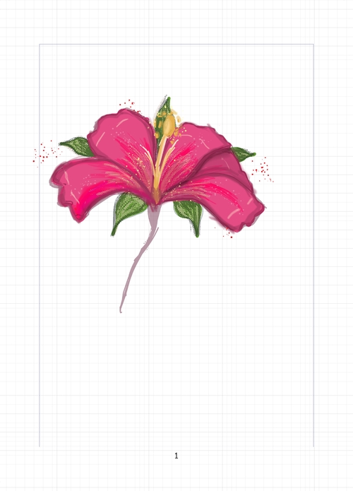 Hibiscus