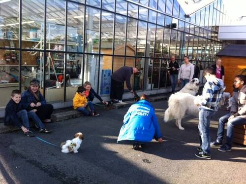 séance d'éducation canine le samedi 20 octobre au Jardi Leclerc