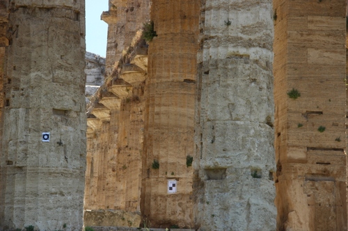 Paestum