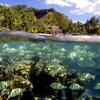 lagons-autres-poissons-de-mer-moorea-polynesie-francaise-1313116274-1084915.jpg