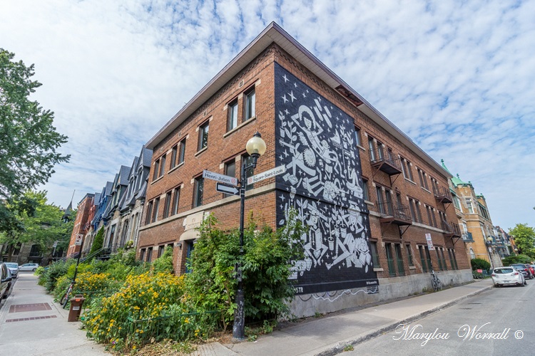 Montréal : Plateau du Mont-Royal 2/2