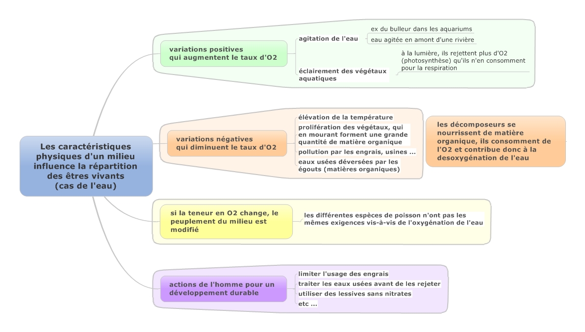 Carte Mentale Svt 5ème svt 5ème - un deux trois cartes
