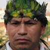 Guarani (Survival International)