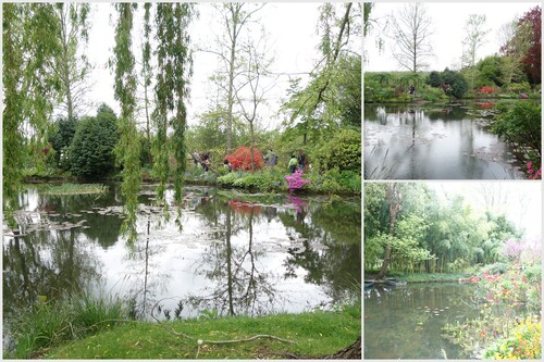 Giverny : le jardin de Monet  2/3