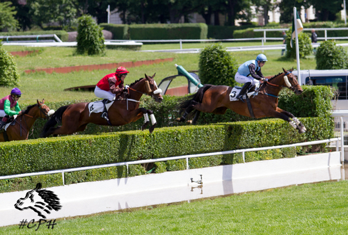 Prix Marechal Foch