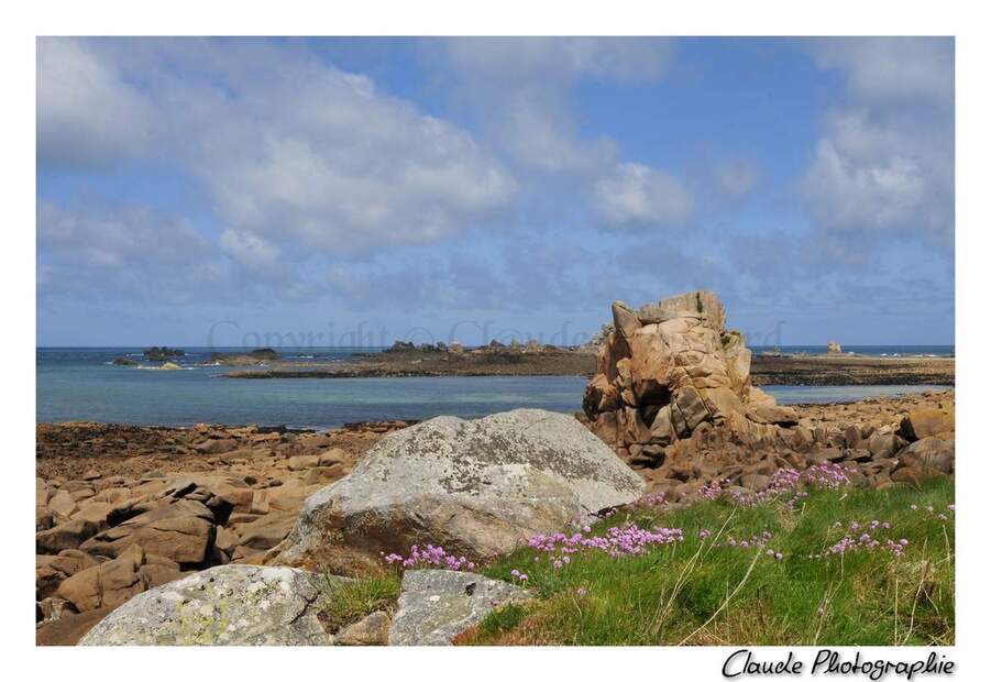 Plougrescant - Côtes d'Armor - Bretagne - 13 Mai 2014